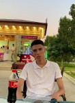 Тоир Алиев, 21 год, Toshkent