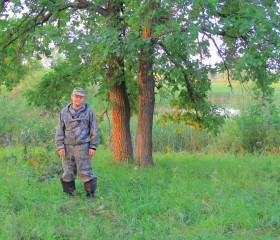 Сергей, 51 год, Нижнекамск