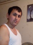 Ser, 28  , Tashkent