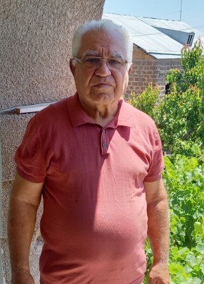 Владимир, 76, Հայաստանի Հանրապետութիւն, Երեվան