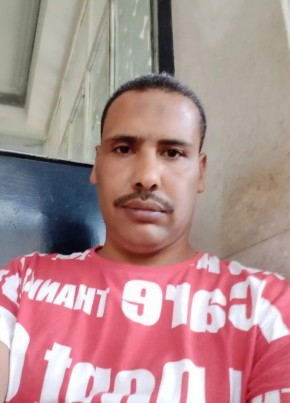 مصطفى, 39, جمهورية مصر العربية, القاهرة