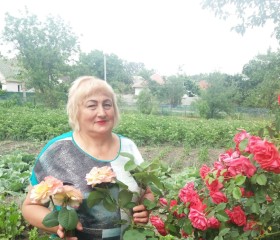 Лида, 65 лет, Кременчук
