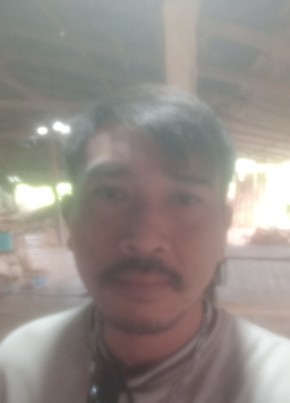 Tom, 41, Thailand, Tak