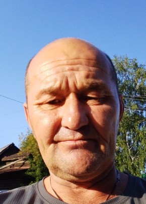 Дмитрий, 51, Россия, Верхняя Синячиха