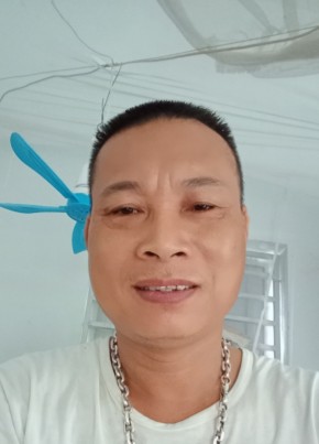 đàm hồng, 52, Công Hòa Xã Hội Chủ Nghĩa Việt Nam, Hà Nội
