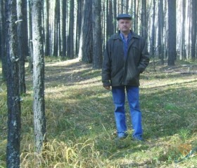 Алексей, 63 года, Томск