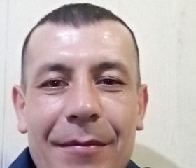 41, 43, Tashkent