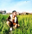 سيد