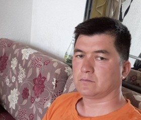 Qurban, 22 года, Steyr