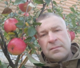 Юрий, 56 лет, Москва