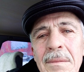 Хамидби Шиков, 68 лет, Нальчик