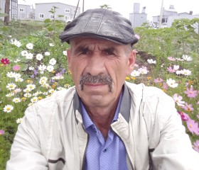 Жора, 64 года, Новосибирск