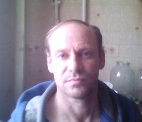 Александр, 43 года, Богородск