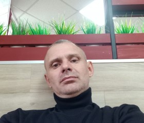Александр Павлов, 43 года, Углегорск