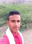 عبدالمجيد, 19 лет, صنعاء