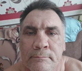 Игорь, 51 год, Железногорск (Курская обл.)