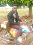 Martin, 29 лет, Bolgatanga