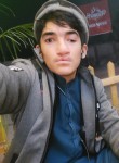 Salim Nezami, 19 лет, پشاور