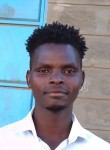 Edu t msafi, 24 года, Nairobi