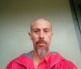 Steven, 49, Cartago