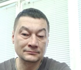 Саша, 47 лет, Дедовск