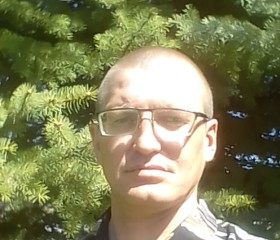 Анатолий, 39 лет, Нижнекамск