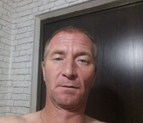 Валерий Голубев, 48 лет, Верхняя Пышма