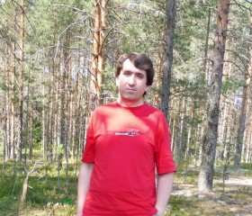 Игорь, 38 лет, Петрозаводск