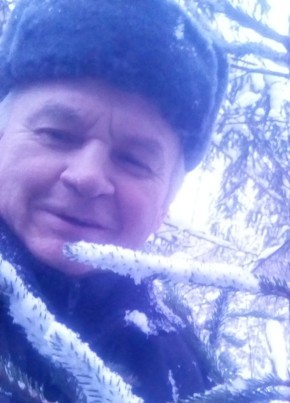 Василий, 64, Россия, Бежаницы