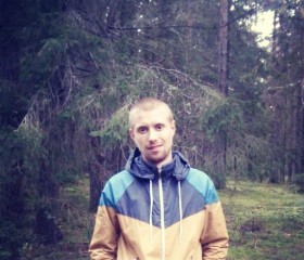 Виталий, 37 лет, Гирвас