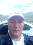 donk, 56 лет, Бишкек