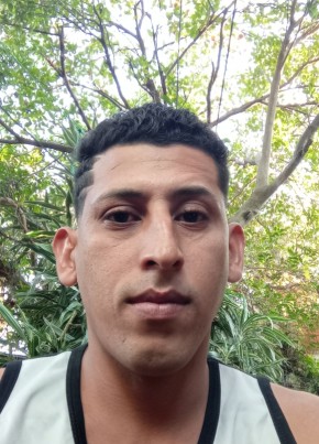 Juan из Novo Hamburgo 31 год
