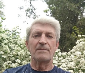 Ivan Tuluman, 67 лет, Katowice