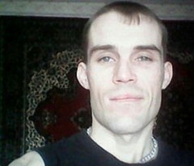 Александр, 41 год, Михайлов