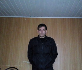 Сергей, 42 года, Каменка