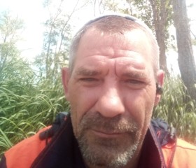 Витал, 47 лет, Воронеж