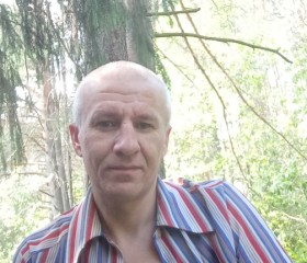 Сергей, 45 лет, Сямжа