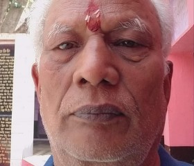 Ssharma, 66 лет, New Delhi