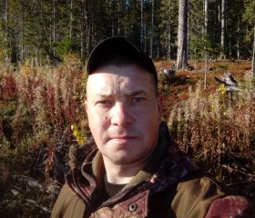 Игорь, 45 лет, Костомукша