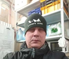 Николай, 46 лет, Санкт-Петербург