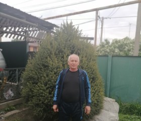 Андрей, 54 года, Алматы