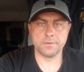 Денс, 43 года, Богданович