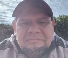 Tortuga, 53, Posadas