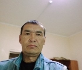 Роман, 47 лет, Алматы