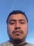 Luis, 31 год, México Distrito Federal