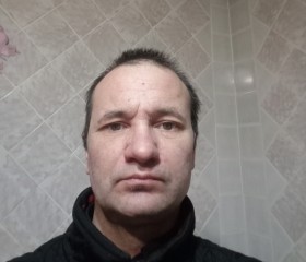 Владимир, 46 лет, Таганрог