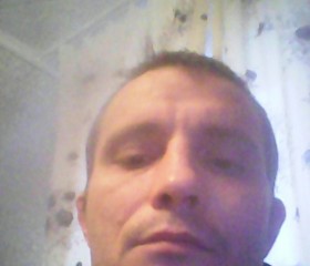 Игорь, 43 года, Ярославль
