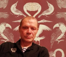 Михаил, 58 лет, Кондрово