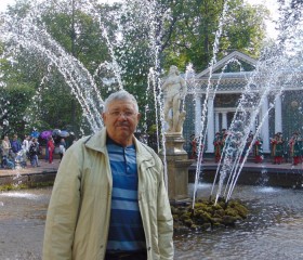 степан, 73 года, Новосибирск