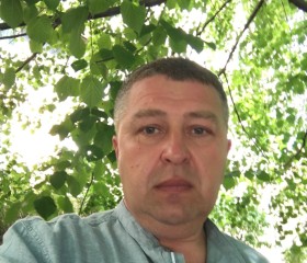 Сергей, 52 года, Зеленоградск